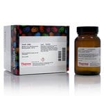 https://www.dev3.thermofisher.com/content/dam/LifeTech/Images/Brands/search/default-brand.jpg